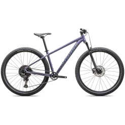 Specialized Rockhopper Comp - Viola