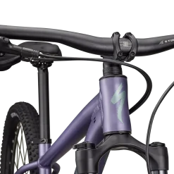 Specialized Rockhopper Comp - Viola