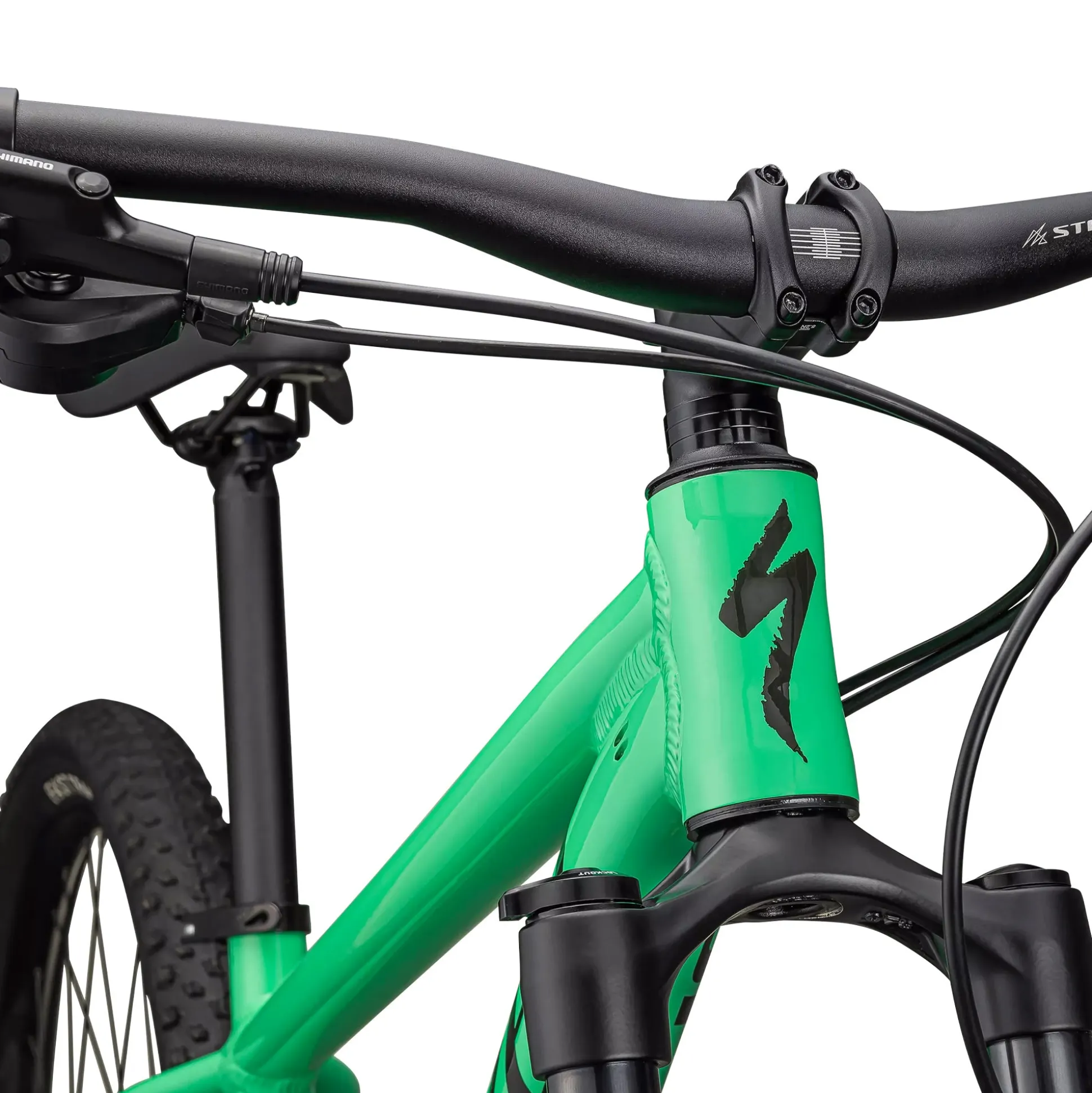 Specialized Rockhopper Expert - Verde