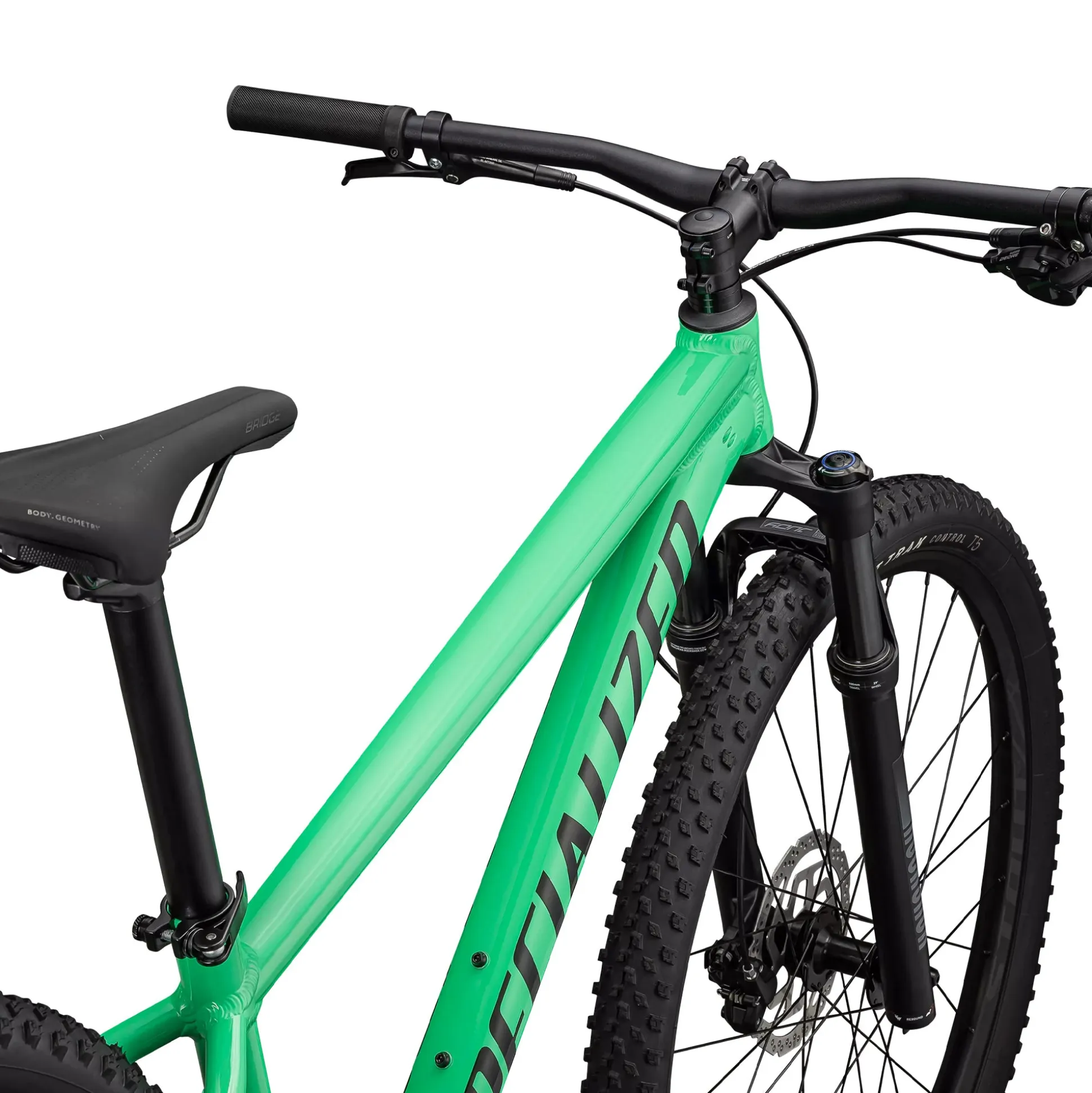 Specialized Rockhopper Expert - Verde