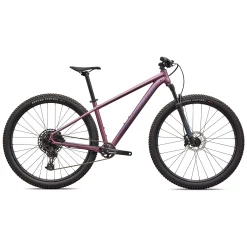 Specialized Rockhopper Expert 29 - Viola