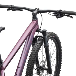 Specialized Rockhopper Expert 29 - Viola