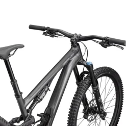 Specialized Stumpjumper 15 Comp Alloy - Grigio