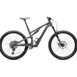 Specialized Stumpjumper 15 Comp Alloy - Grigio