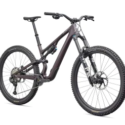 Specialized Stumpjumper 15 EVO Expert Di2 - Viola