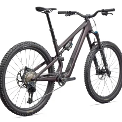 Specialized Stumpjumper 15 EVO Expert Di2 - Viola