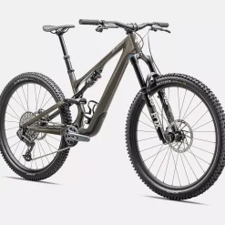 Specialized Stumpjumper 15 Expert - Grigio