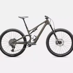 Specialized Stumpjumper 15 Expert - Grigio