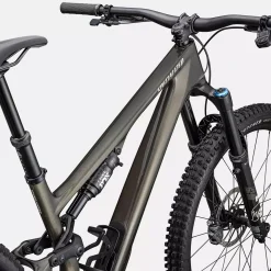Specialized Stumpjumper 15 Expert - Grigio