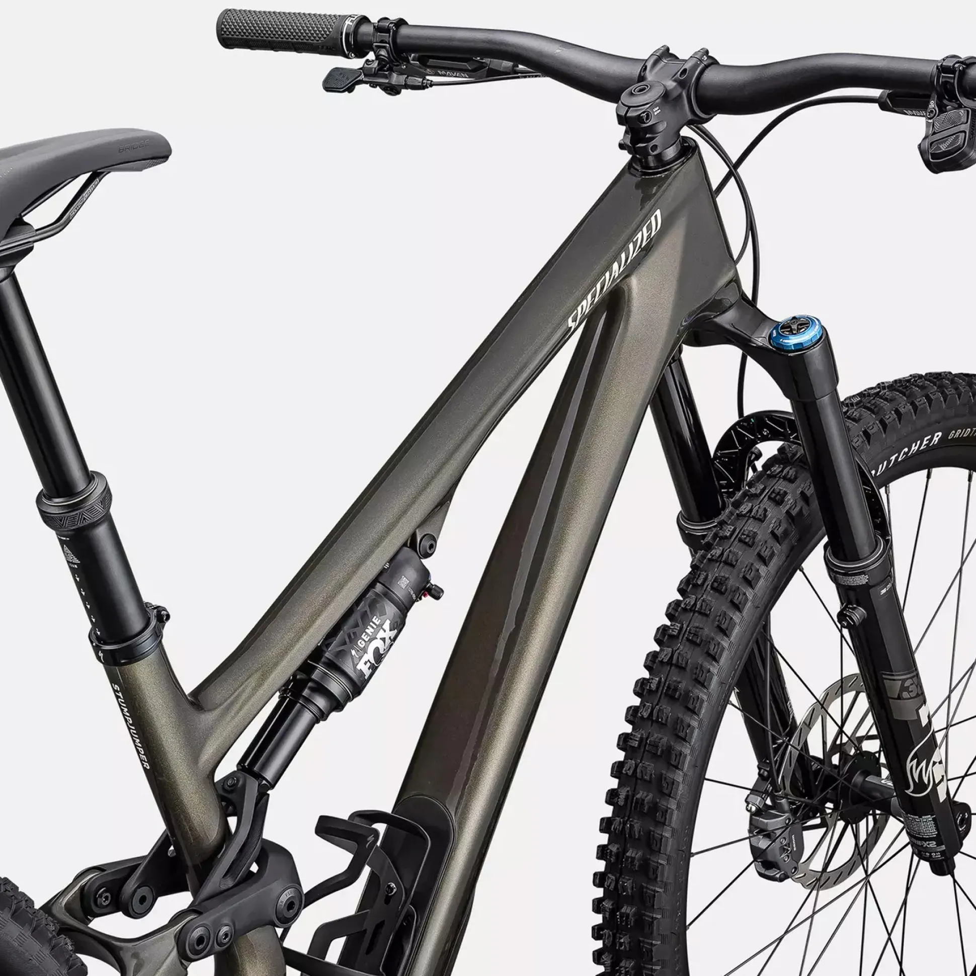 Specialized Stumpjumper 15 Expert - Grigio