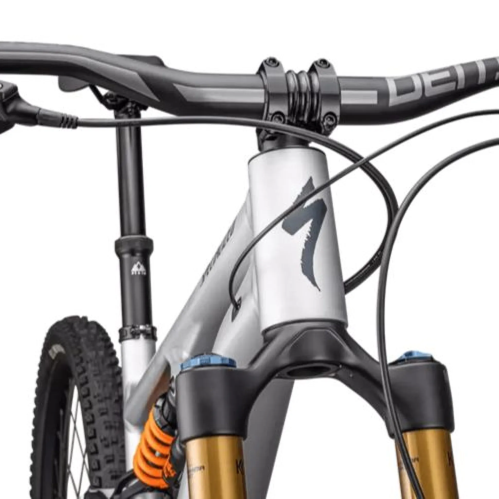 Specialized Stumpjumper 15 Fox Coil Alloy - Grigio