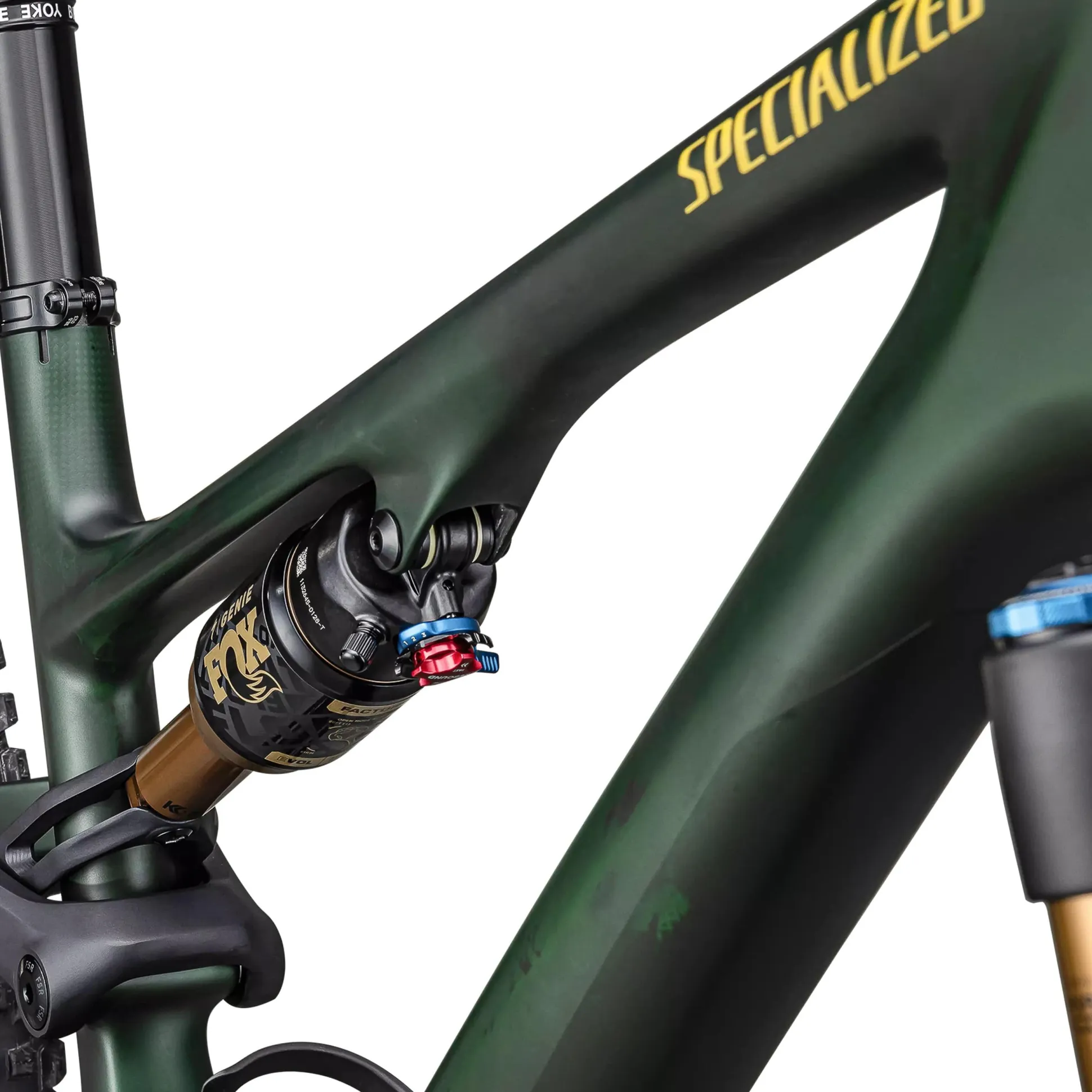 Specialized Stumpjumper 15 Pro - Verde