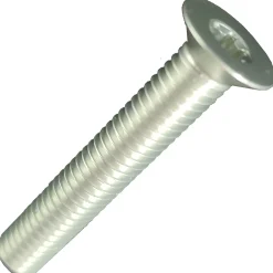 Vite di ricambio Carbon-Ti X-Cap TORX - Argento